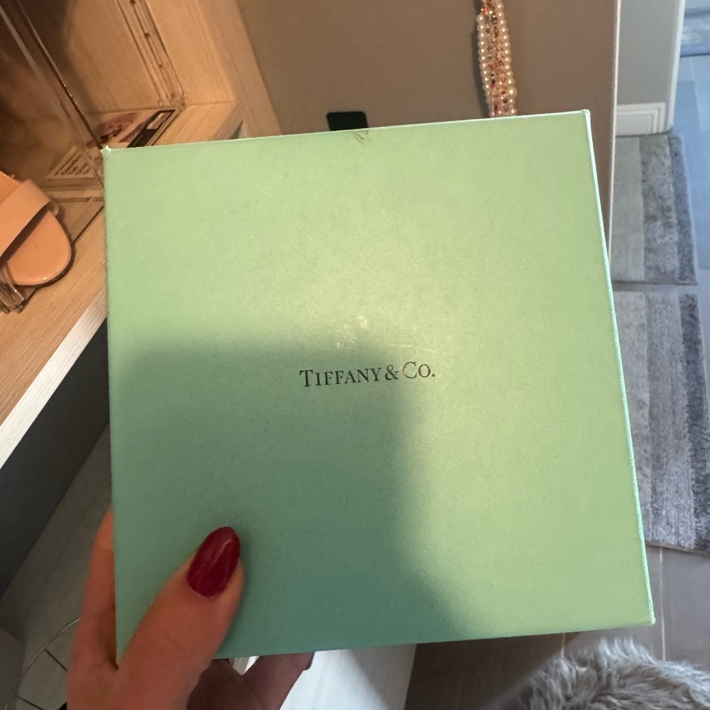 Tiffany & Co. Aqua Gift Box